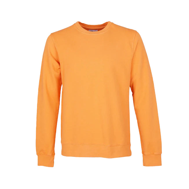 COLORFUL Sweat classique col rond org