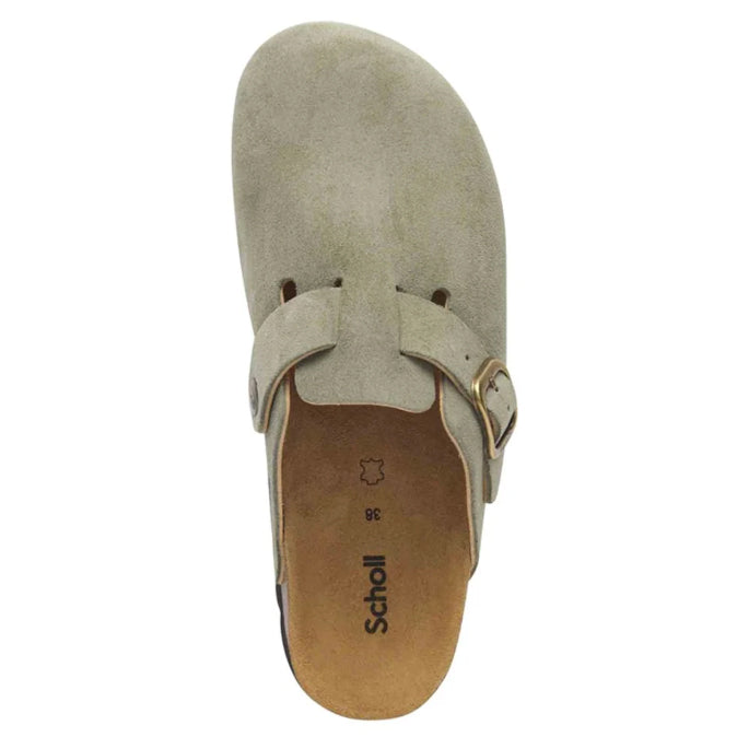 SCHOLL Sabots FAE Suède - Femme